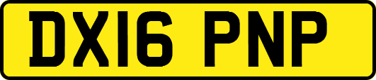 DX16PNP
