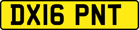 DX16PNT