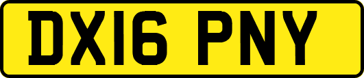 DX16PNY