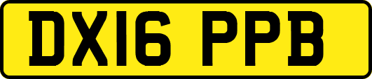 DX16PPB