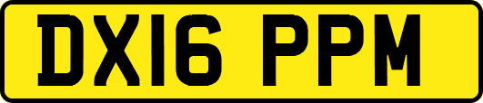 DX16PPM