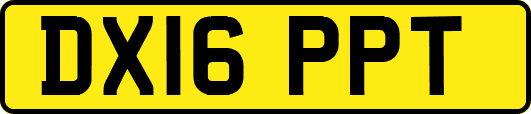 DX16PPT