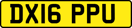 DX16PPU