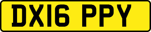 DX16PPY