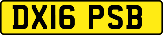 DX16PSB