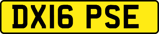 DX16PSE
