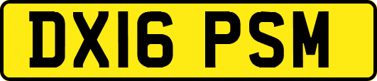 DX16PSM