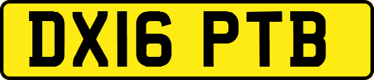 DX16PTB