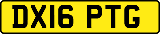DX16PTG