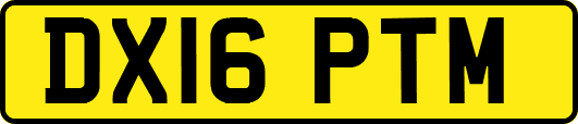 DX16PTM