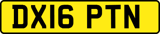 DX16PTN