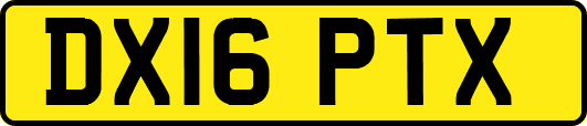 DX16PTX