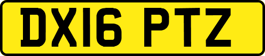 DX16PTZ