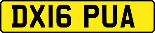 DX16PUA