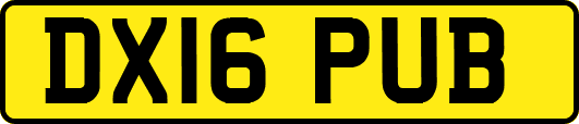DX16PUB