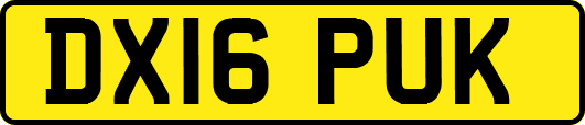 DX16PUK