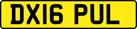 DX16PUL
