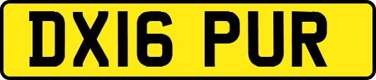 DX16PUR