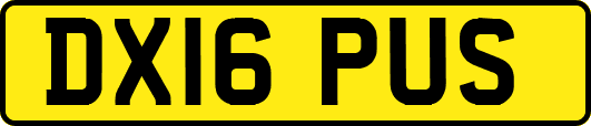 DX16PUS