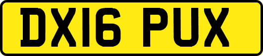 DX16PUX