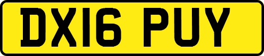 DX16PUY