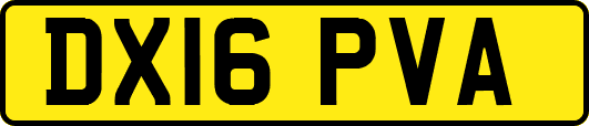 DX16PVA