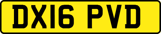 DX16PVD
