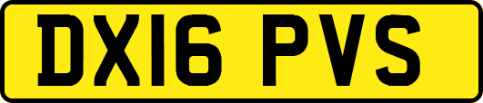 DX16PVS