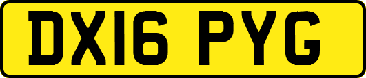 DX16PYG