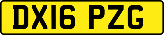 DX16PZG