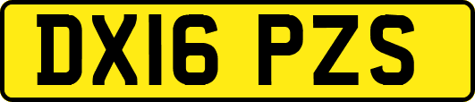 DX16PZS