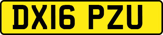 DX16PZU