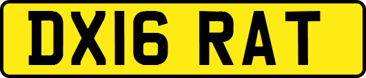 DX16RAT