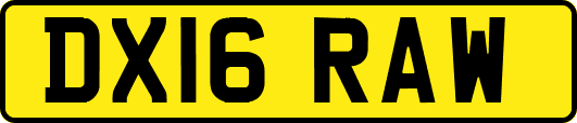 DX16RAW