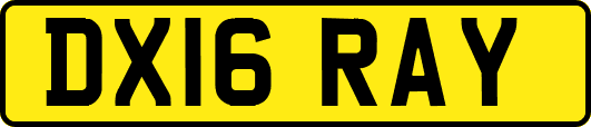 DX16RAY