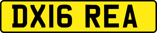 DX16REA