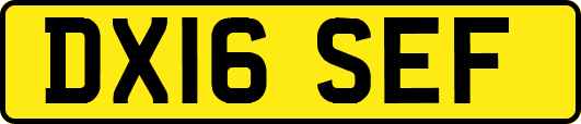 DX16SEF
