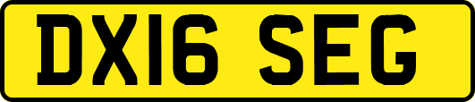 DX16SEG