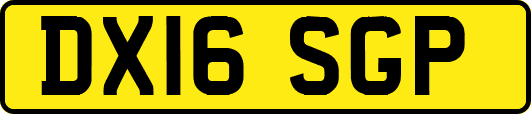 DX16SGP