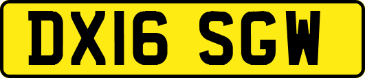 DX16SGW