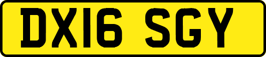 DX16SGY