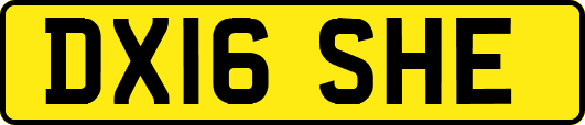 DX16SHE