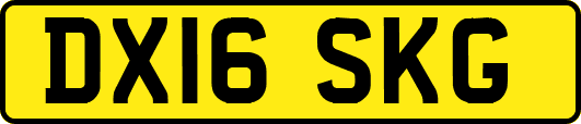 DX16SKG
