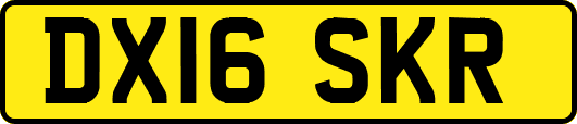 DX16SKR