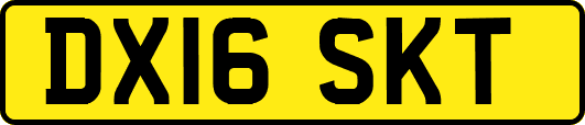 DX16SKT
