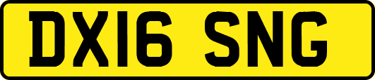 DX16SNG