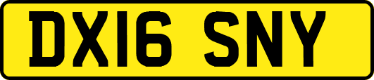 DX16SNY