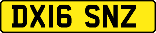 DX16SNZ