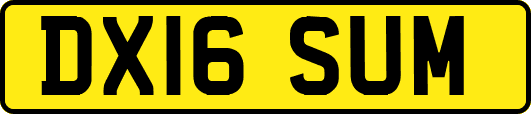 DX16SUM