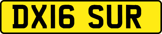 DX16SUR
